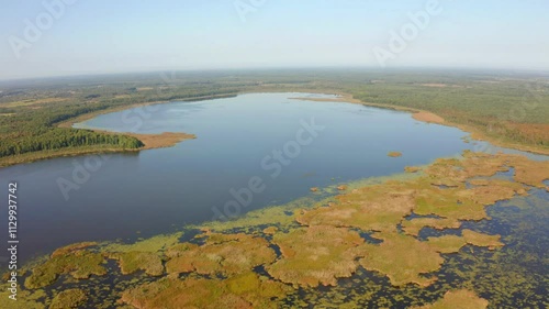 Incredible morning view from flying drone of Luky lake. Wonderful summer scene on Shatsky National Park, Volyn region, Ukraine, Europe. 4K video (Ultra High Definition).