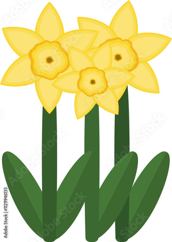 Illustration of Yellow Daffodil Flower