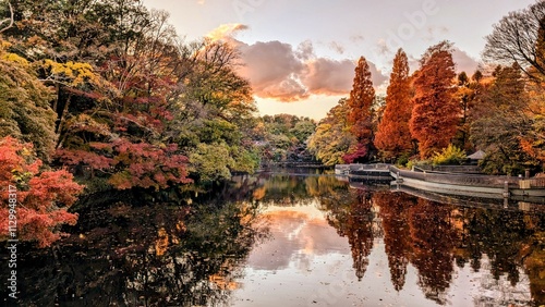autumn in the forest with lake