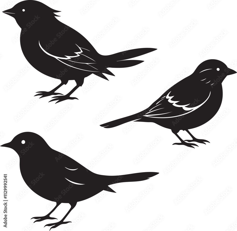 Obraz premium Adobe Illustrator Artwork