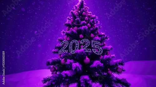 2025 in Style