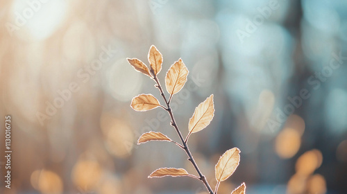 Sunlit Branch: A delicate t...