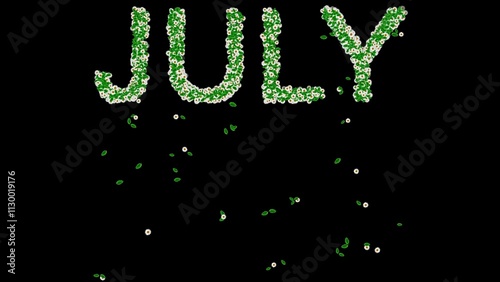 Beautiful illustration of July text with green leaves and white daisy flowers on plain black background