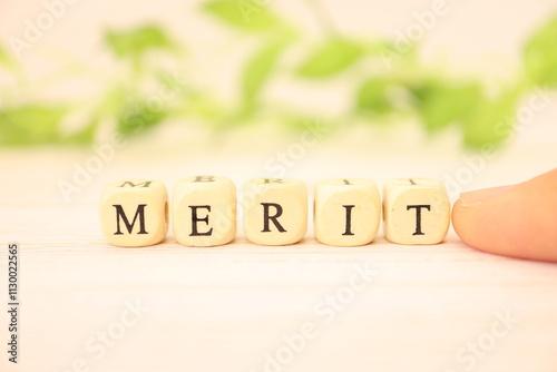 メリット（MERIT）の文字