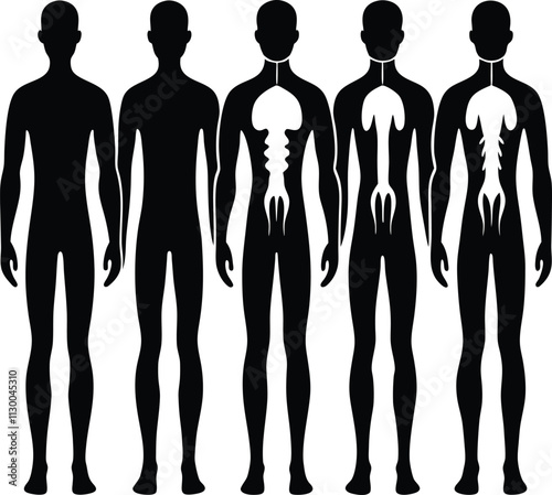 Human Silhouette Evolution: Black & White Vector Illustration of Human Anatomy & Skeletal Development Stages Graphic Art