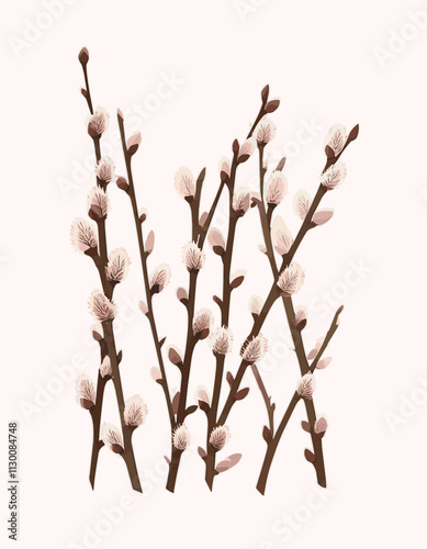 Pussy Willow Branches Illustration Brown Pink Spring Botanical Willow Catkins lunar chinese new year Embrace Serene Landscape