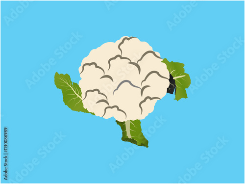 Elegant Cauliflower Design Perfect for Food and Organic Themes