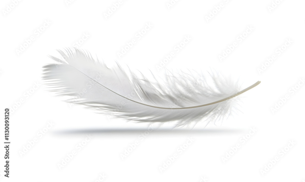 Obraz premium A delicate white feather gracefully floating against a plain background.