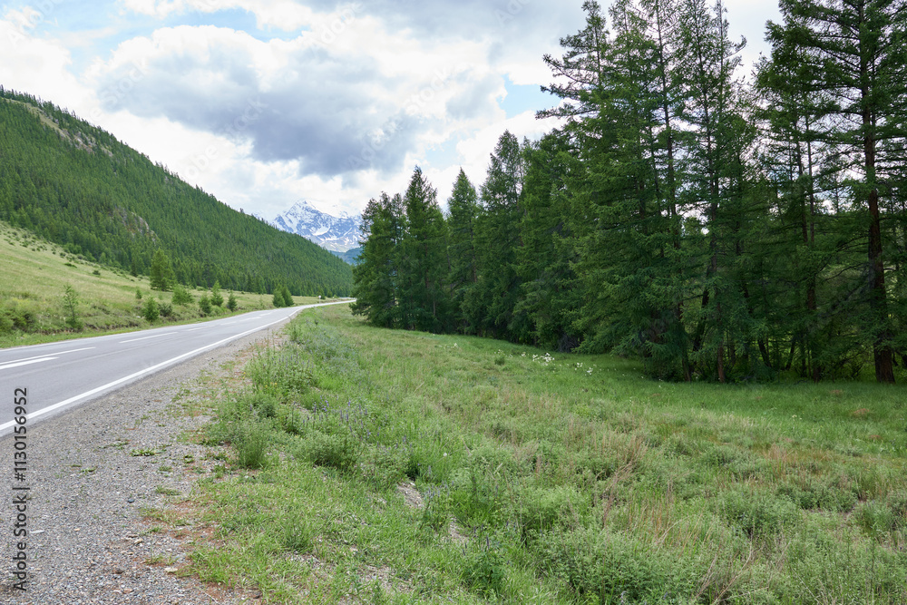 Fototapeta premium Mountain road in the Altai Mountains. Siberia, Russia.