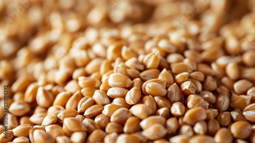 Golden wheat grain close-up shot highlighting rich textures and natural colors of agricultural produce in a soft light setting