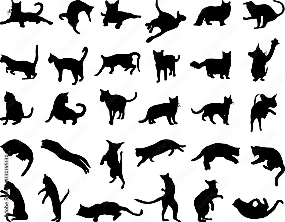 Obraz premium Black silhouettes of cats