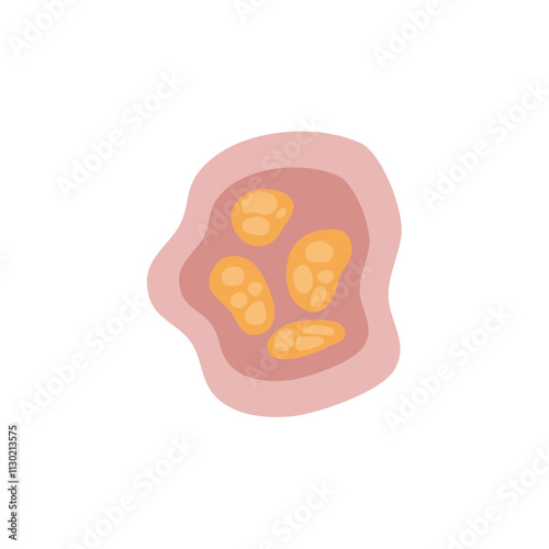 human parasites coccidia Illustration