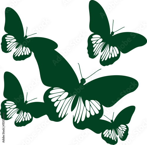 butterfly Art & Illustration