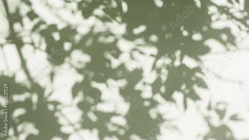 Transparent soft light and shadows from branches, plant, foliage and leaves. Morning sunlight and tree shadows blowing by wind reflecting on wall. Product, advertising. Summer concept. 4k. 