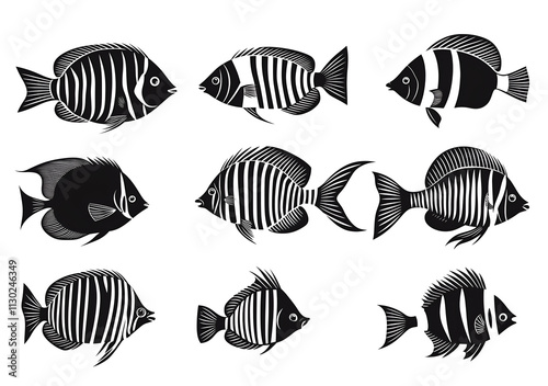 set of sea fish silhouettes on white photo