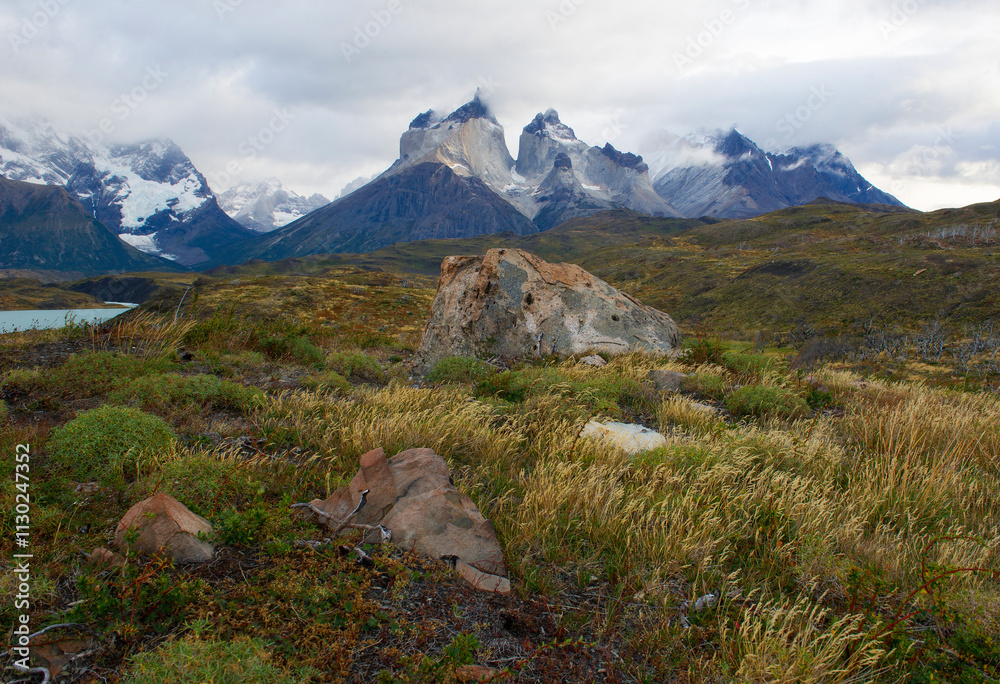 Fototapeta premium Torres del Paine national park