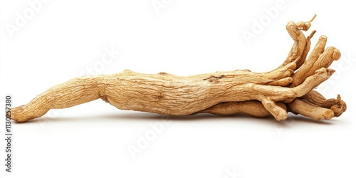 Ginseng root displayed in isolation on a white background, emphasizing the herbal health concept. Explore the benefits of ginseng root for holistic wellness with this captivating image. photo