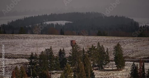 Winter forest and open snowy fields viewed under a moody overcast sky, capturing rural winter landscapes.