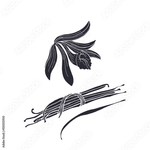 Black silhouette of vanilla orchid flower isolated on white background. Hand drawn floral linocut design