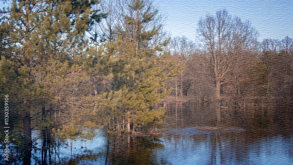 Obraz premium Forest with trees and a body of water