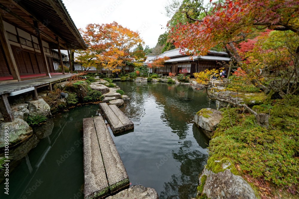 Fototapeta premium 飛び石のある紅葉に彩られた日本庭園