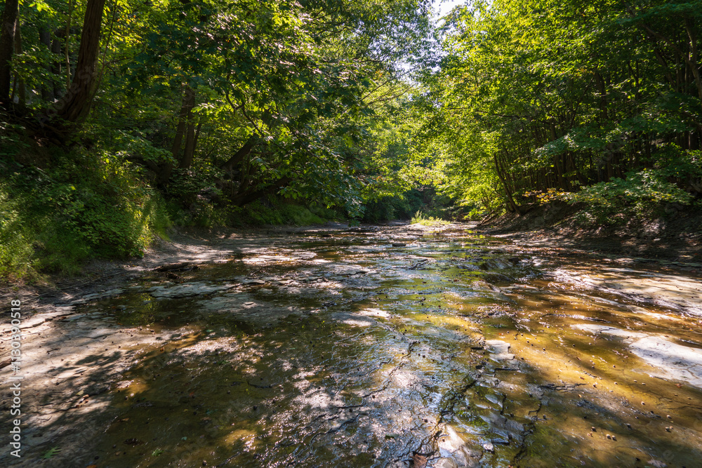 Obraz premium Wintergreen Gorge, Harborcreek Township, Erie County in the U.S. state of Pennsylvania