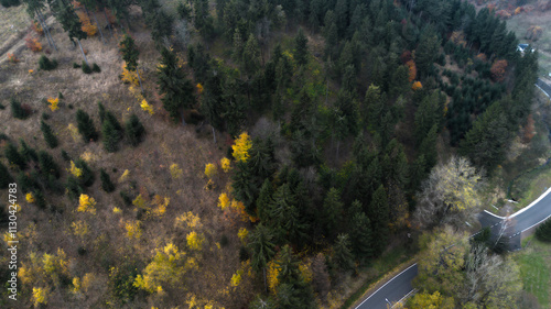 Autumn in the mountains, autumn mountains from above. Aerial landscape. Drone view. photo