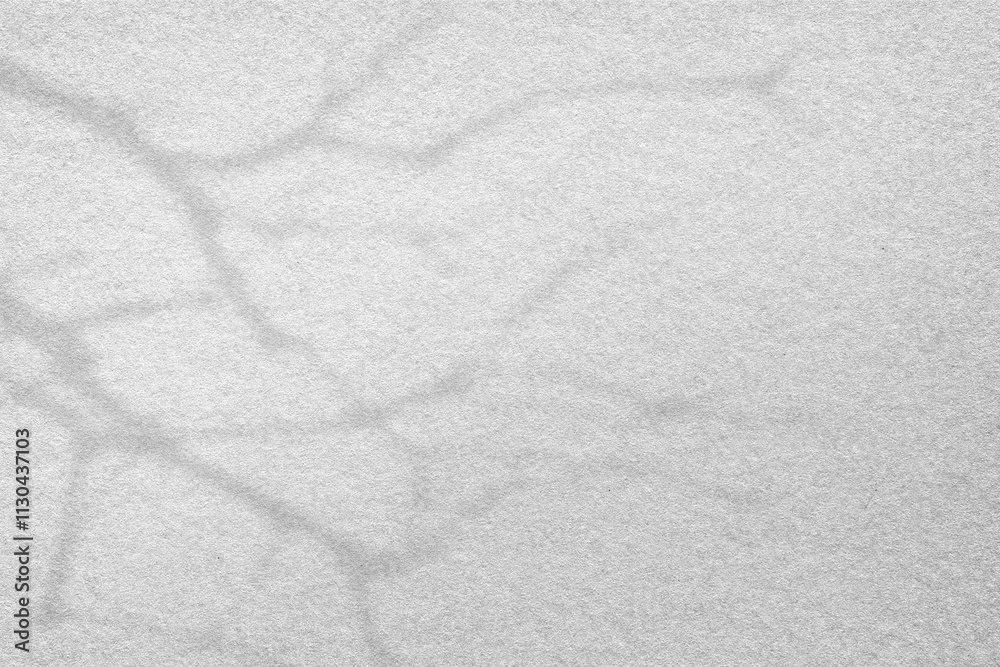 custom made wallpaper toronto digitalTree shadow texture png transparent background