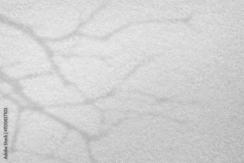 Wallpaper Mural Tree shadow texture png transparent background Torontodigital.ca