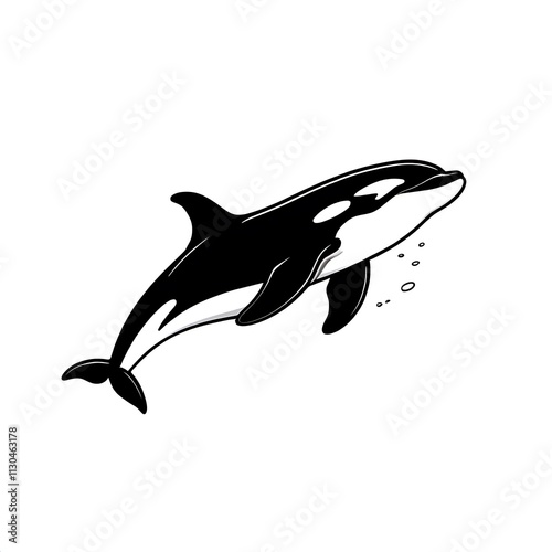 Black and White Orca Silhouette   photo