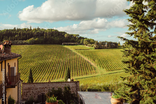 Vignes bordant l'abbye - 1