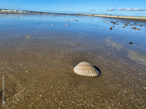 Am Strand von Blavand in Dänemark photo