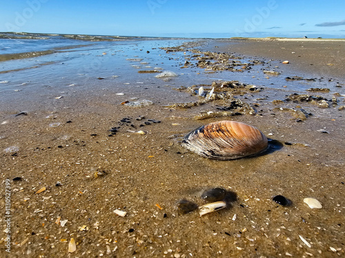 Am Strand von Blavand in Dänemark photo