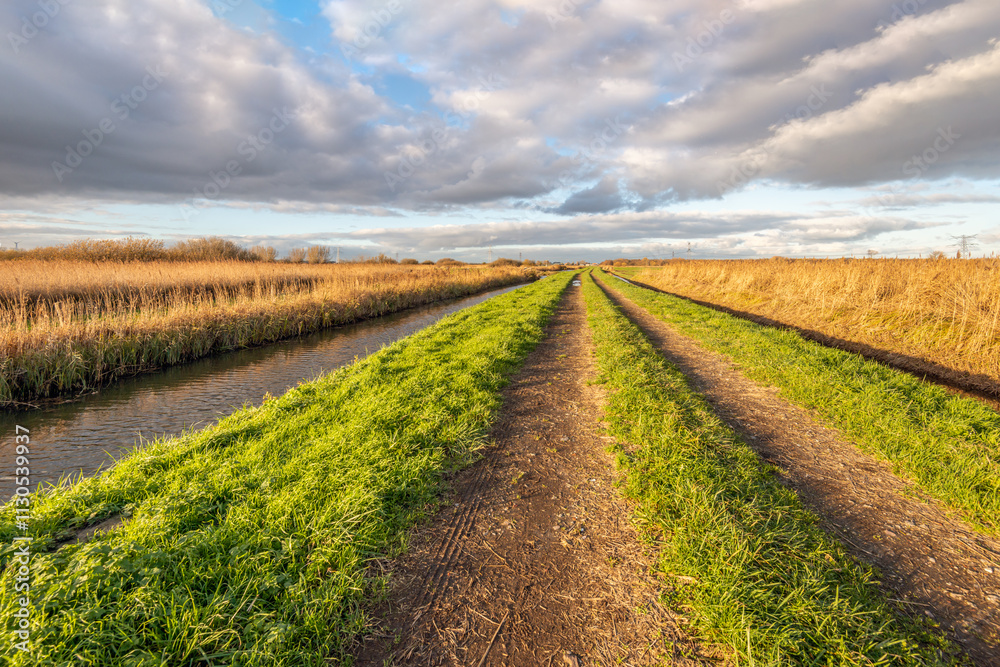 Unpaved country road with wheel tracks in a Dutch polder. On both sides of the road is a ditch. It is a cloudy day in the autumn season. The reeds along the ditch have already turned yellow.