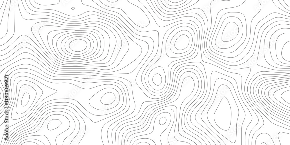 Fototapeta premium White wave paper curved reliefs abstract background, Topography map background. Vector geographic contour map. See Less Abstract topographic contours map background,