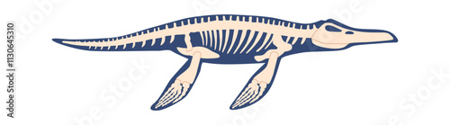 Ichthyosaur skeleton dangerous ancient predator