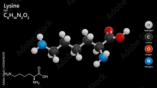 Photos Molecule: Lysine (Lys or K)