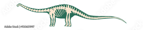 Brontosaurus creature skeleton vector illustration