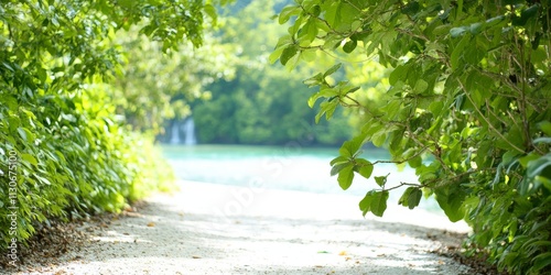 Serene Lakeside Path: A tra...