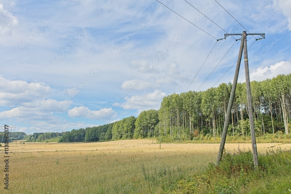 Fototapeta premium Wood electric poles and power lines on a cloudy summer day.