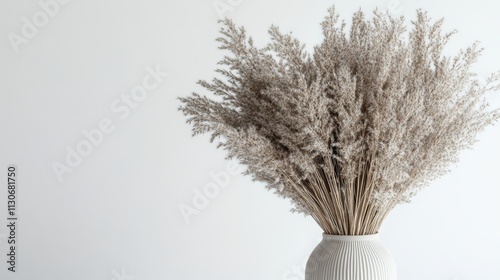 Grass pampas vase isolated Branches of dried reeds of reed grass on a white background An element for decoration natural design of packages notebooks covers Gray-beige dried fluffy plant photo