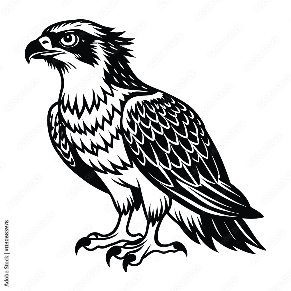 Fototapeta premium eagle isolated on white background