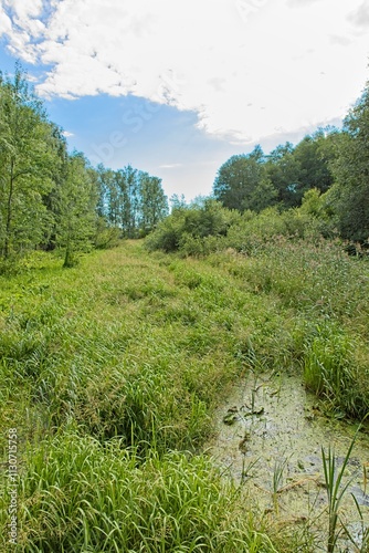 Overgrown canal at Pornaistenniemi in cloudy summer weather, Helsinki, Finland. photo