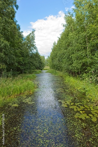 Overgrown canal at Pornaistenniemi in cloudy summer weather, Helsinki, Finland. photo