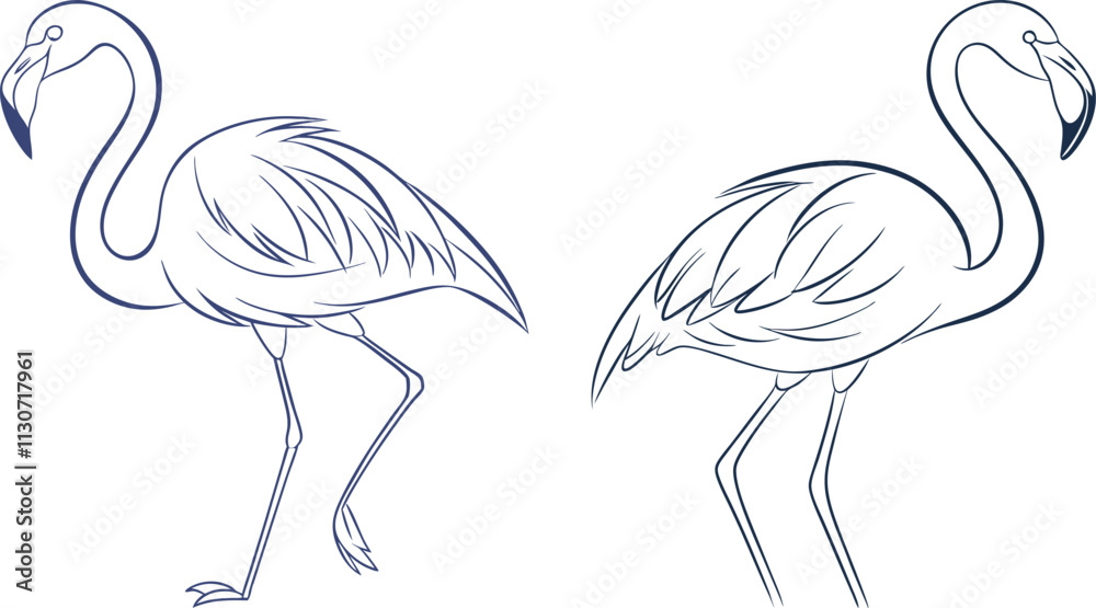 Obraz premium Flamingo line art vector and black and white drawing illustration design