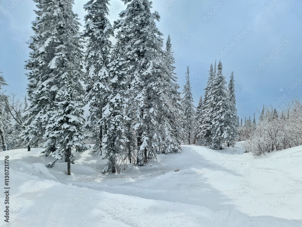 Fototapeta premium Snowy winter in the ski resort of Sheregesh in Siberia, Russia.
