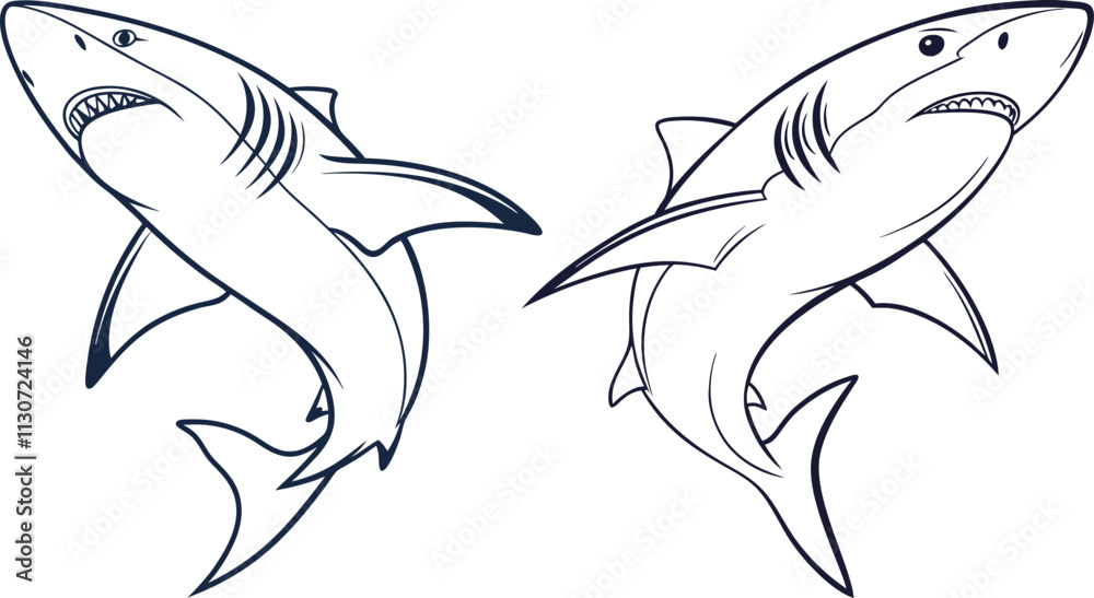 Fototapeta premium Shark line art vector and black and white drawing illustration design
