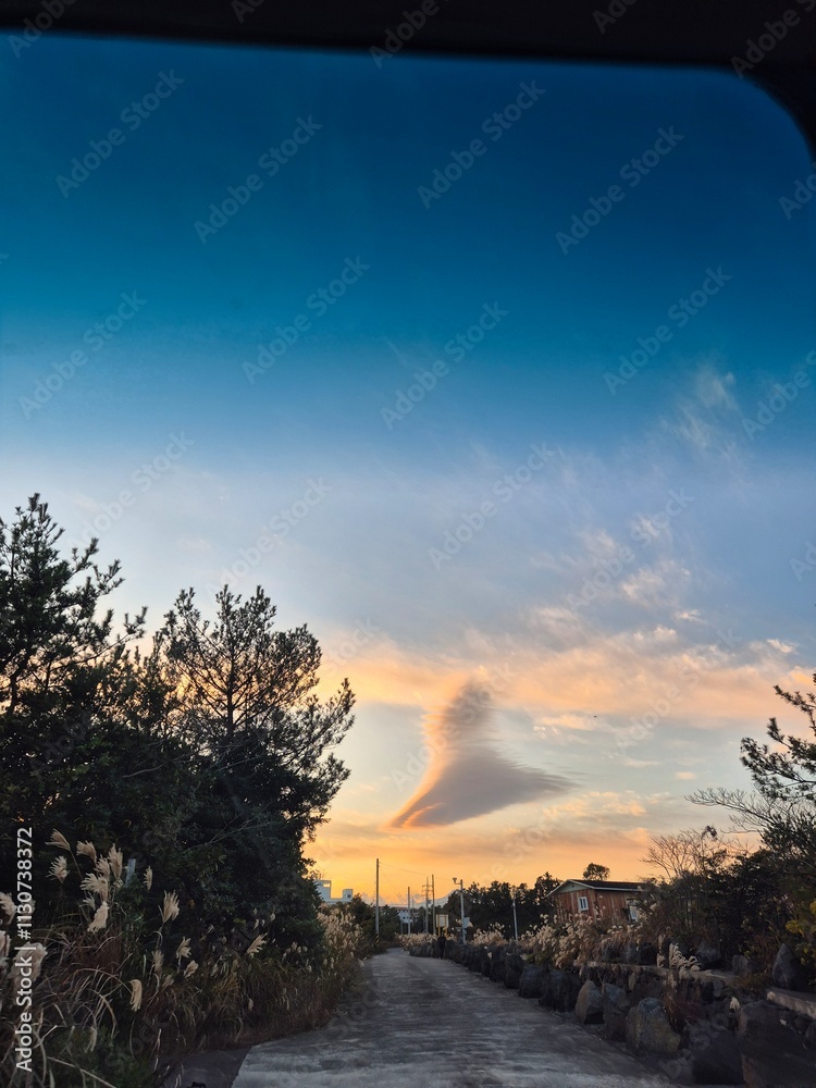 Obraz premium 억새풍경 저녁노을