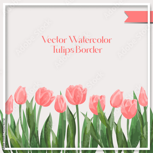 flower floral watercolor tulips border collection