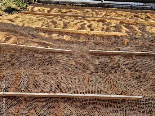 Slope stabilization by vegetation planting of shrubs. so that the mulch bark does not slide down by erosion, the whole hill is supported by planks and metal nails photo